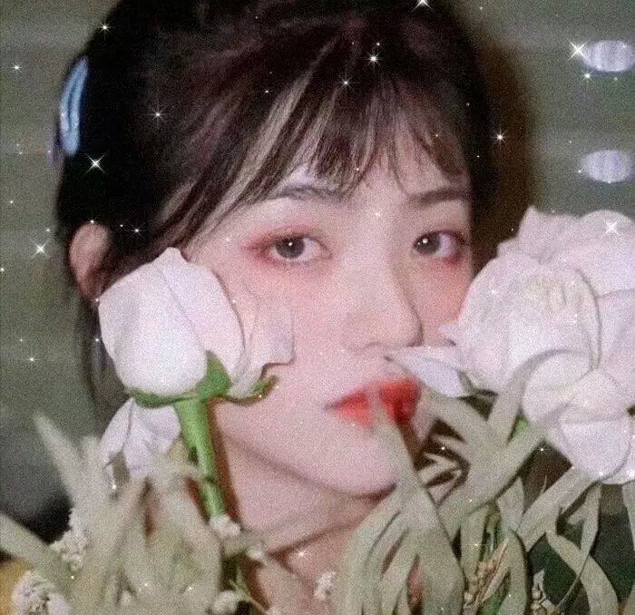 不死鸟之恋