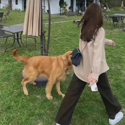 香艳亲王